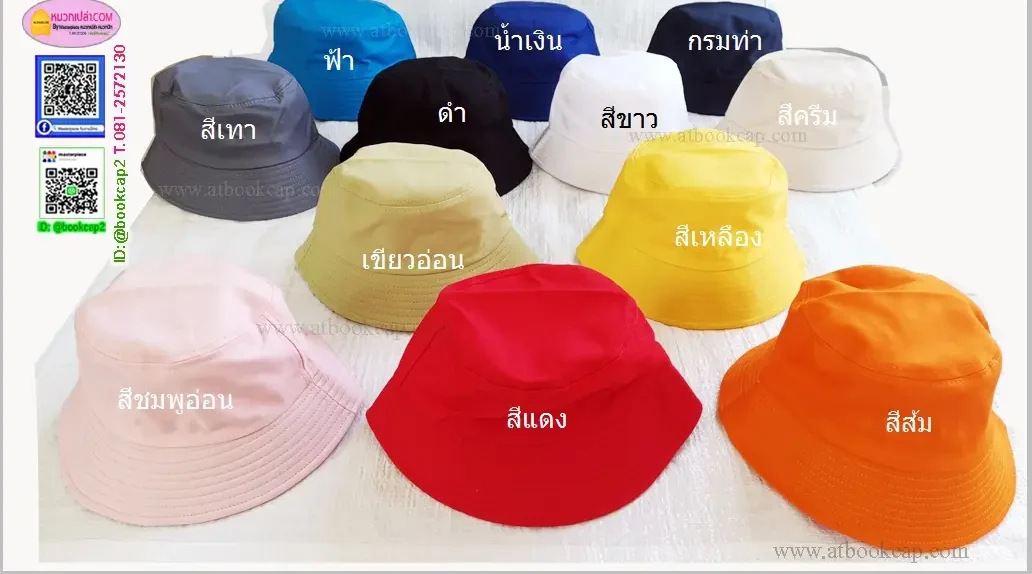 butget001